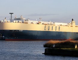 ASIAN PARADE - 229m [IMO:9122954] Autotransporter (Vehicles Carrier) Aufnahme: 2017-12-29 Baujahr: 1996 | DWT: 25226t | Breite: 32m
