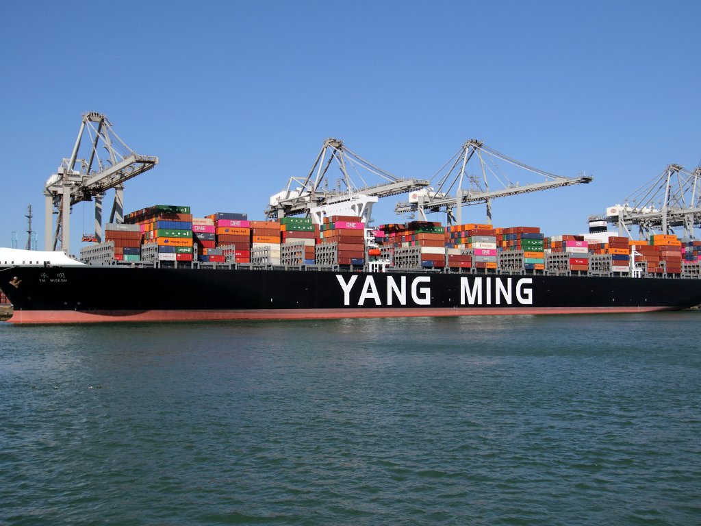 Groß-Containerschiffe - Yang Ming