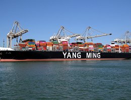 YM WISDOM - 366m [IMO:9757216] Containerschiff (Container ship) Aufnahme: 2019-04-10 Baujahr: 2019 | DWT: 147500t | Breite: 51m | Tiefgang: 15,5m | Ladekapazität: 14420 TEU...