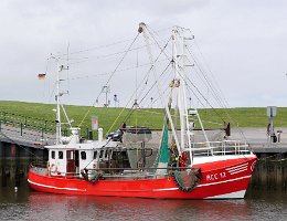 ACC 12 POSEIDON - 19m Fischkutter (Trawler) Aufnahme: 2019-06-27 Baujahr: 1981 | Breite: 5,20m Maschinenleistung: 221 KW