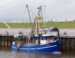 ACC 2 EMMA - 18m Fischkutter (Trawler) Aufnahme: 2019-06-27 Baujahr: 1977 | Breite: 4,80m Maschinenleistung: 175 KW