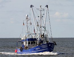 CUX 14 SAPHIR - 16m Fischkutter (Trawler) Aufnahme: 2015-08-05 Baujahr: 1987 | Breite: 5,4m Maschinenleistung: 207 KW