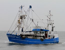 DIT 1 MARTHA BRUHNS - 19m Fischkutter (Trawler) Aufnahme: 2015-07-12 Baujahr: 1996 | Breite: 5,60m Maschinenleistung: 221 KW