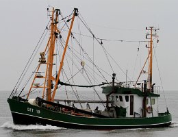 DIT 18 JAN BRUHNS - 19m Fischkutter (Trawler) Aufnahme: 2015-07-12 Baujahr: 1983 | Breite: 5,40m Maschinenleistung: 221 KW