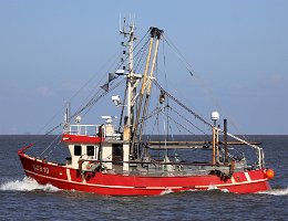 DOR WANGERLAND - 16m Fischkutter (Trawler) Aufnahme: 2021-06-13 Baujahr: 1987 | Breite: 5,0m Maschinenleistung: 220 KW