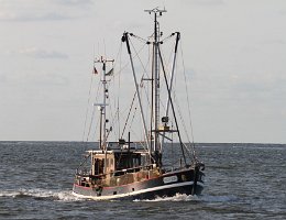 NEU 226 KEEH-TIED - 16m Fischkutter (Trawler) Aufnahme: 2014-08-05 Baujahr: 1968 | Breite: 4,70m Maschinenleistung: 184 KW