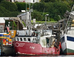 SM 6 MARIECHEN - 10m Fischkutter (Trawler) Aufnahme: 2016-08-05 Baujahr: 1991 | Breite: 3,80m Maschinenleistung: 221 KW