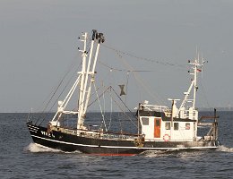 WRE 4 WREMEN - 19m Fischkutter (Trawler) Aufnahme: 2014-08-03 Baujahr: 1987 | Breite: 5,40m Maschinenleistung: 221 KW