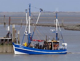 BEN 1 ALBATROS - 16m Fischkutter Aufnahme: 2019-06-23 Baujahr: 1973 Maschinenleistung: 191 KW