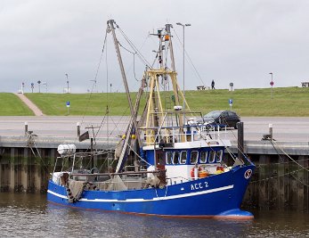 Kutter - ACC Accumersiel Deutschland - Nordsee