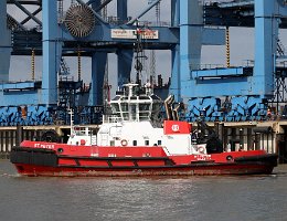 RT PETER - 29m [IMO:9474917] Hafenschlepper (Tug) Neuaufnahme: 2020-08-24 (2015-07-13) Baujahr: 2010 | Bollard pull: 84t | Breite: 12m | Tiefgang: 5,9m