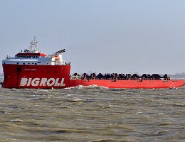 BIGROLL BERING - 173m [IMO:9710476] Schwerlastschiff (Heavy Load Vessel) Aufnahme: 2020-03-12 Baujahr: 2016 | DWT: 20157t | Breite: 42m | Tiefgang: 6,50m Maschinenleistung: 10000 KW