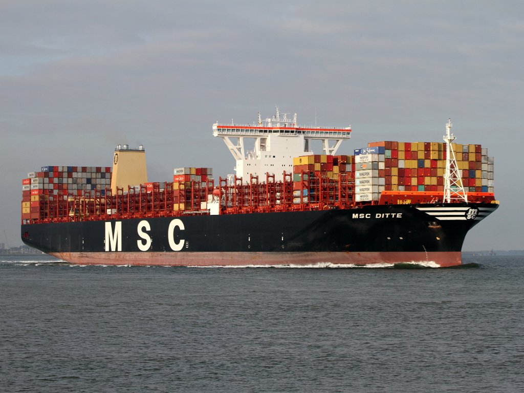 MSC Ditte