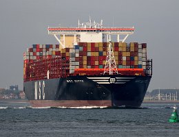 [Schiffe Spezial] MSC DITTE (1) MSC Ditte bei Terneuzen