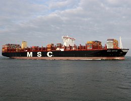 [Schiffe Spezial] MSC DITTE (5) MSC Ditte bei Terneuzen