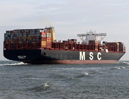 [Schiffe Spezial] MSC DITTE (6) MSC Ditte bei Terneuzen