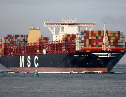 [Schiffe Spezial] MSC DITTE (2) MSC Ditte bei Terneuzen