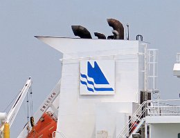 ABC Maritime AG ABC Maritime AG schweizer Reederei mit Sitz in Nyon Foto: SAN PIETRO [IMO:9610341]