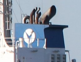 Cargow Cargow niederländische Reederei mit Sitz in Rotterdam Foto: FREYJA W [IMO:9754422]