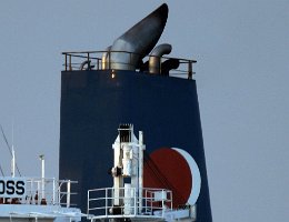 Marine Capital Marine Capital englische Reederei mit Sitz in London Foto: CAPE CROSS [IMO:9698305]